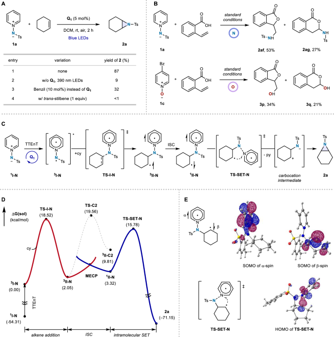Fig. 5: Mechanistic Investigation.