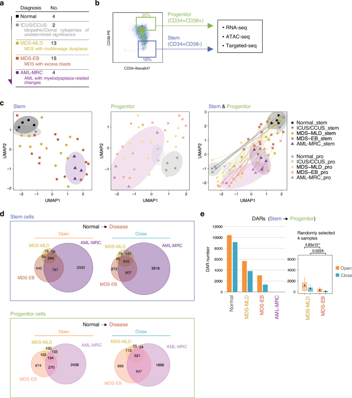 Fig. 1: Chromatin accessibility in MDS stem cells represents disease status.