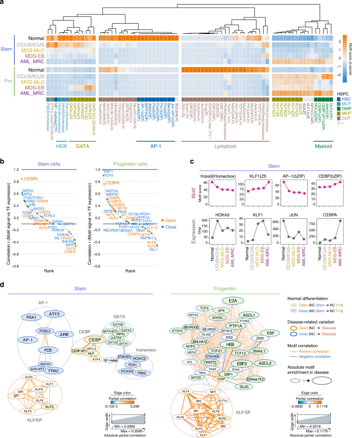 Fig. 3: Chromatin accessibility reveals alteration of transcriptional networks in MDS.