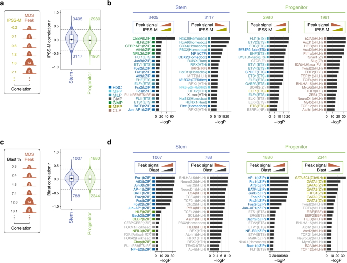 Fig. 4: Chromatin accessibility reveals transcriptional networks associated with MDS prognosis.