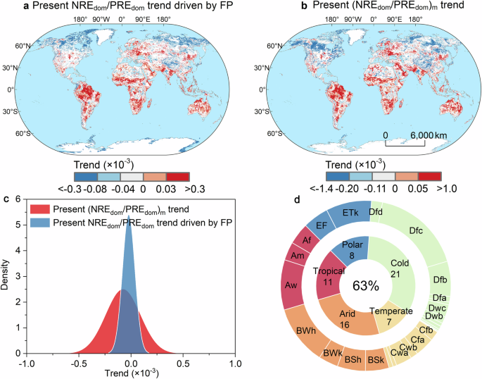 Fig. 5: Spatial distribution of phosphorus release to alleviate the phosphorus limitation of vegetation growth.