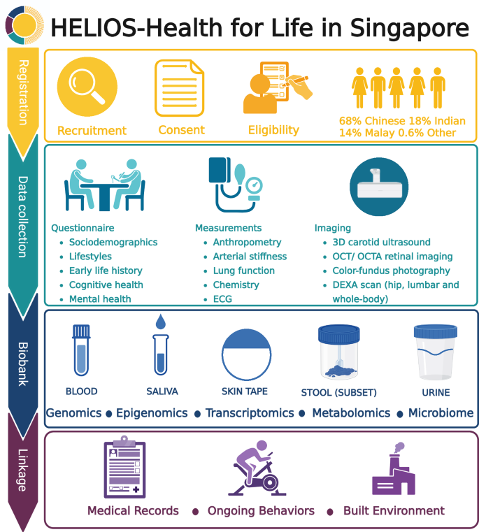 Fig. 1: Overview of participant recruitment, data and biospecimen collection, and linkage.