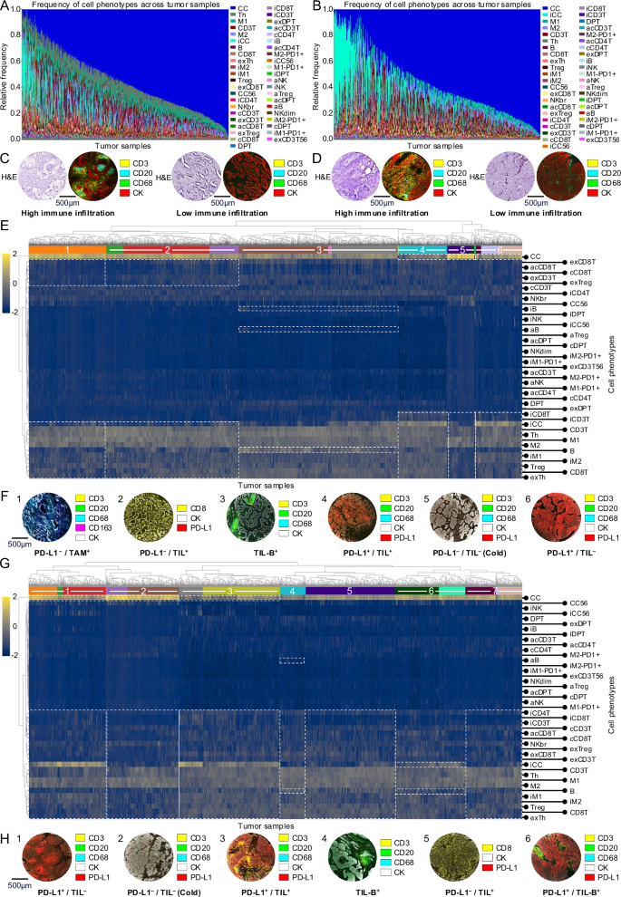 Fig. 2: Cell phenomics overview.