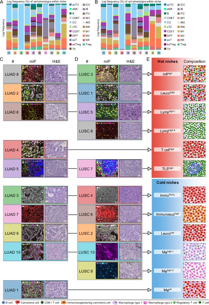 Fig. 5: Niche composition and biological interpretation.