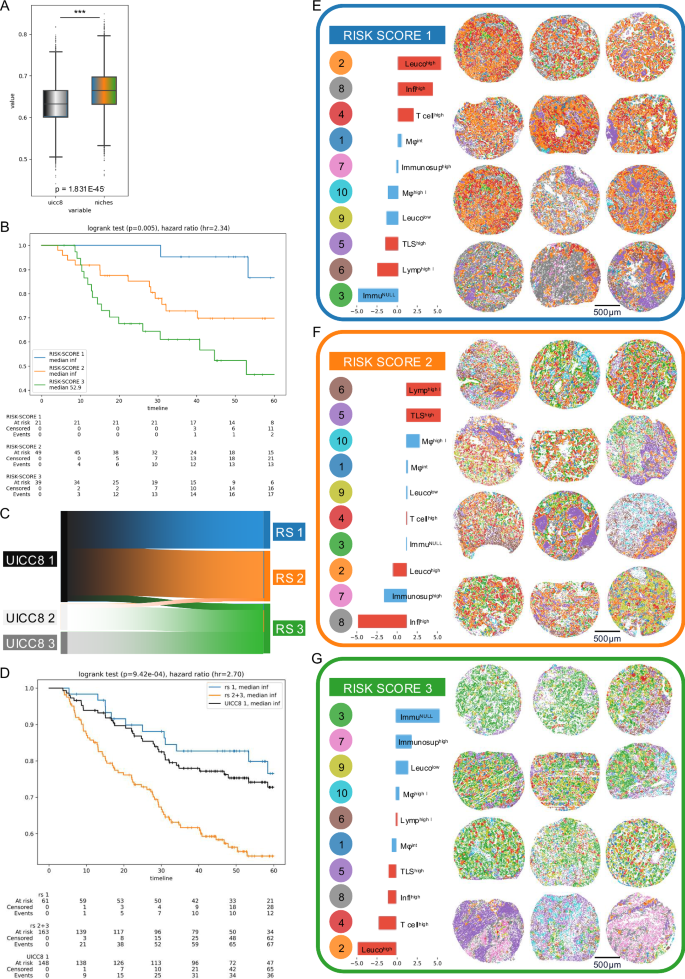 Fig. 6: Survival prediction and risk scores in LUAD.