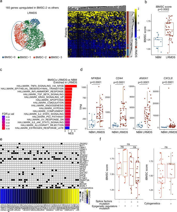 Fig. 3: BMSC inflammation, at varying levels, is a common characteristic of LR-MDS, irrespective of the driver landscape.