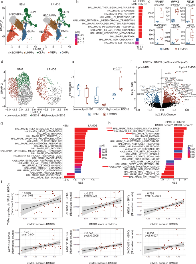 Fig. 5: Inflammatory remodeling of stromal niches is associated with transcriptional signatures indicative of inflammatory stress in HSPCs in LR-MDS.