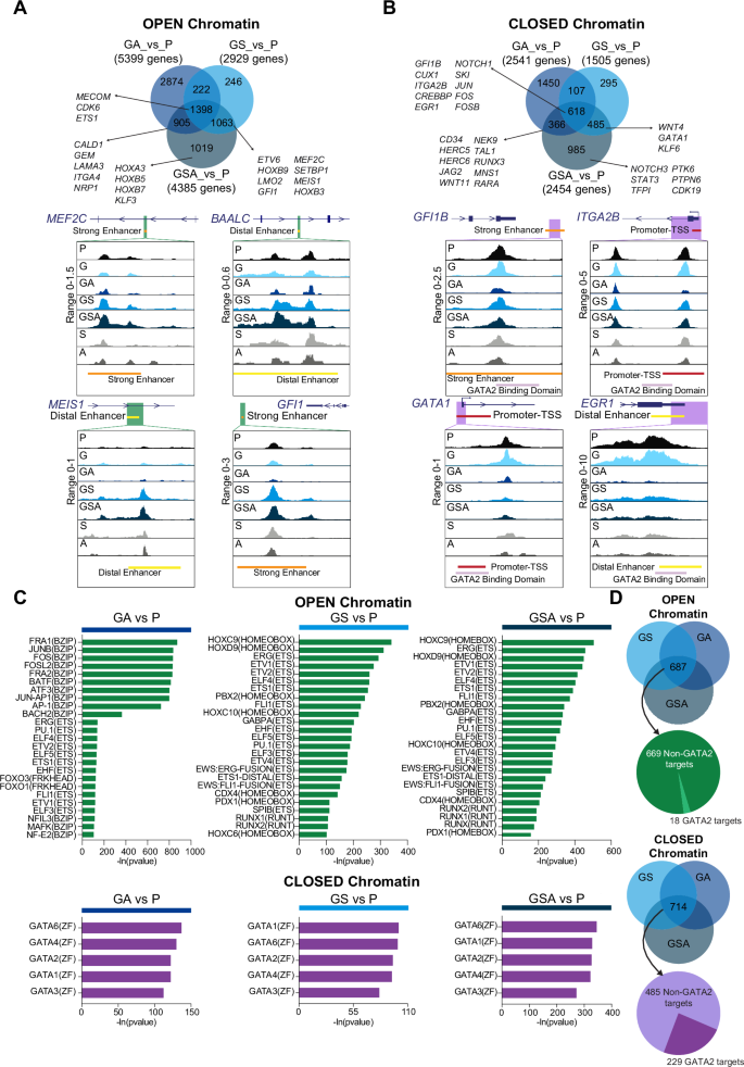Fig. 3: Chromatin accessibility landscape of iPSC-derived HSPCs.