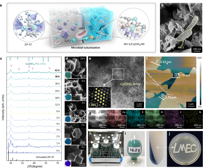 Fig. 2: Molecular vulcanization and morphology characterizations.