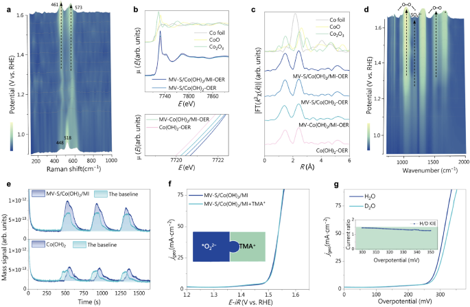 Fig. 5: Investigation of OER catalytic pathway.
