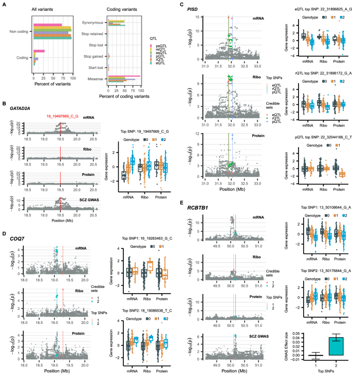 Fig. 2: Omics-specific genetic regulations.