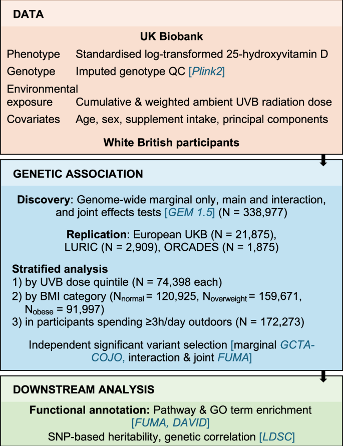 Fig. 1: Study workflow.