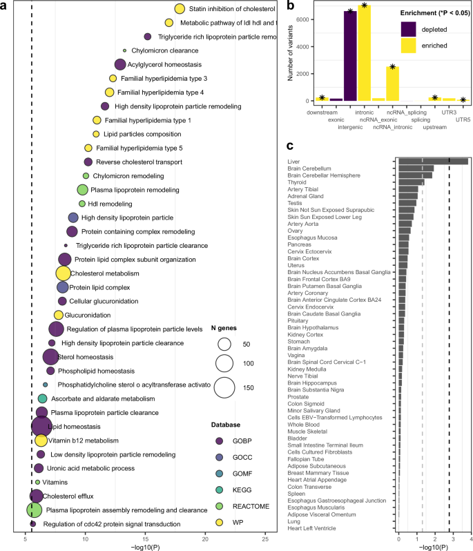 Fig. 4: Functional annotation of the 25OHD joint test.