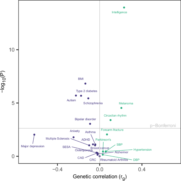 Fig. 5: Genetic correlation between 25OHD and selected traits.