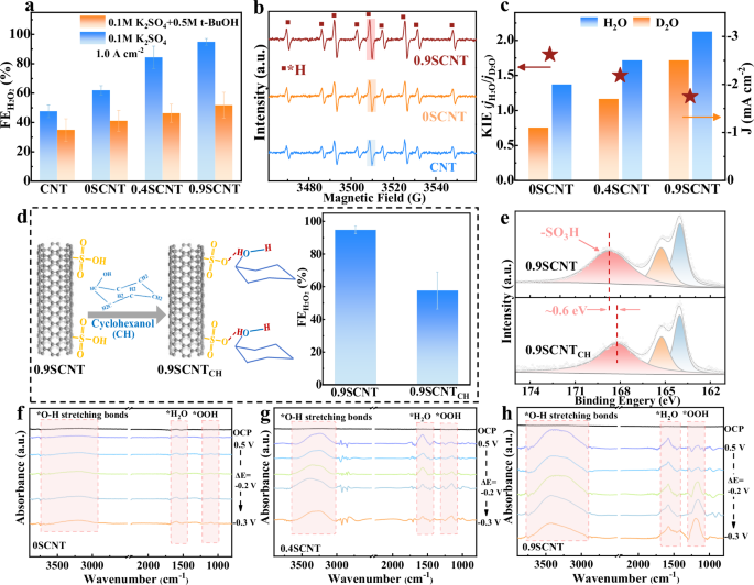 Fig. 3: Mechanism insights into SO3H group for H2O2 electrosynthesis.