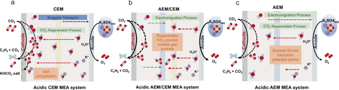 Fig. 1: Design of various acidic MEA systems.