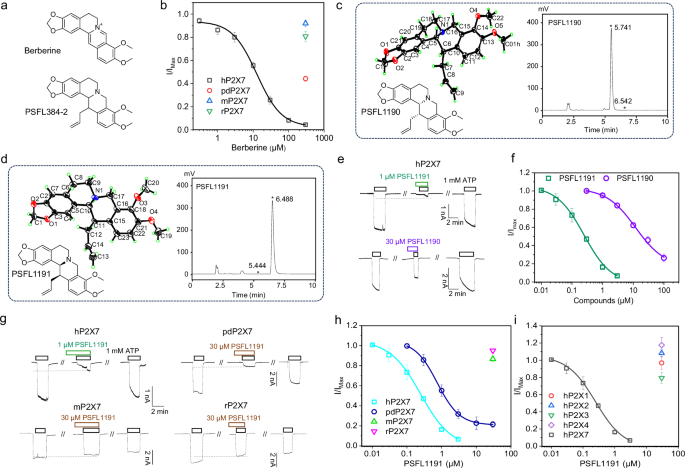 Fig. 2: Chiral separation of berberine derivatives PSFL1190 and PSFL1191 and their effects on P2X7 receptors.