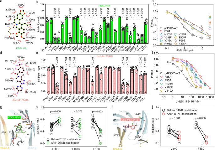 Fig. 4: Inhibition of pdP2X7 activation by PSFL1191 and JNJ-54175446 via PCP.