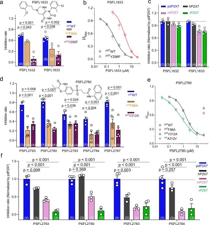 Fig. 7: Screening P2X7 inhibitors with or without species-specific differences on the PCP1 and PCP2 of P2X7 receptors.