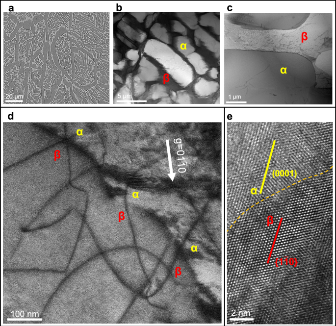 Fig. 3: Microstructure of Ti-0.45O-4Fe alloy after PBF-LB plus annealing at 800 °C for 1 h.