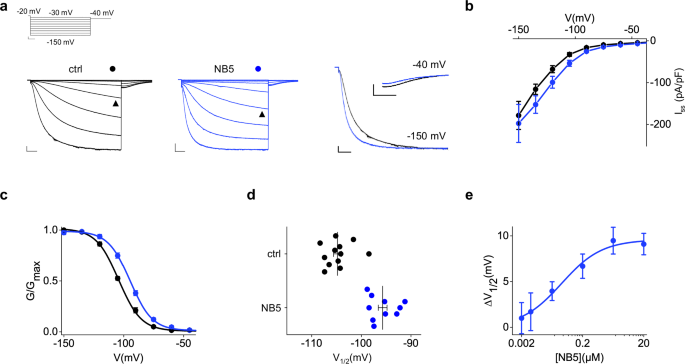Fig. 1: Functional effect of NB5 on rbHCN4.