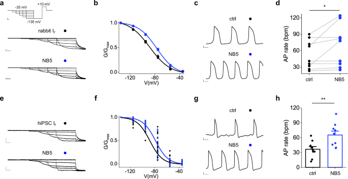Fig. 5: Effect of NB5 on native If current.