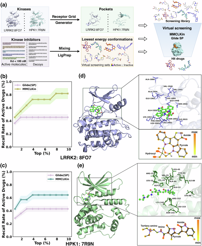 Fig. 4: Virtual screening performance and interpretability analysis of MMCLKin on two kinases with known experimental structures (LRRK2 and HPK1).