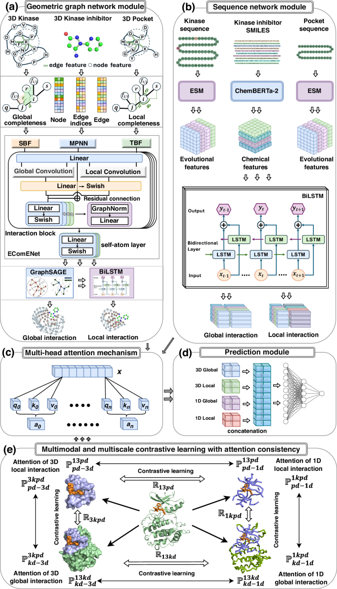 Fig. 7: The framework of MMCLKin.