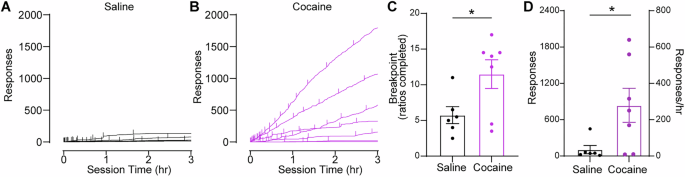 Fig. 4: Intranasal cocaine drives high effort responding under a progressive ratio schedule.
