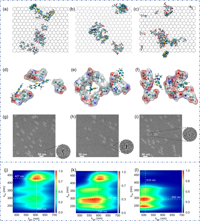 Fig. 3: Molecular dynamics simulation, cryo-TEM images, and 2D phosphorescence spectra of SNI/amino acids/H2O systems.