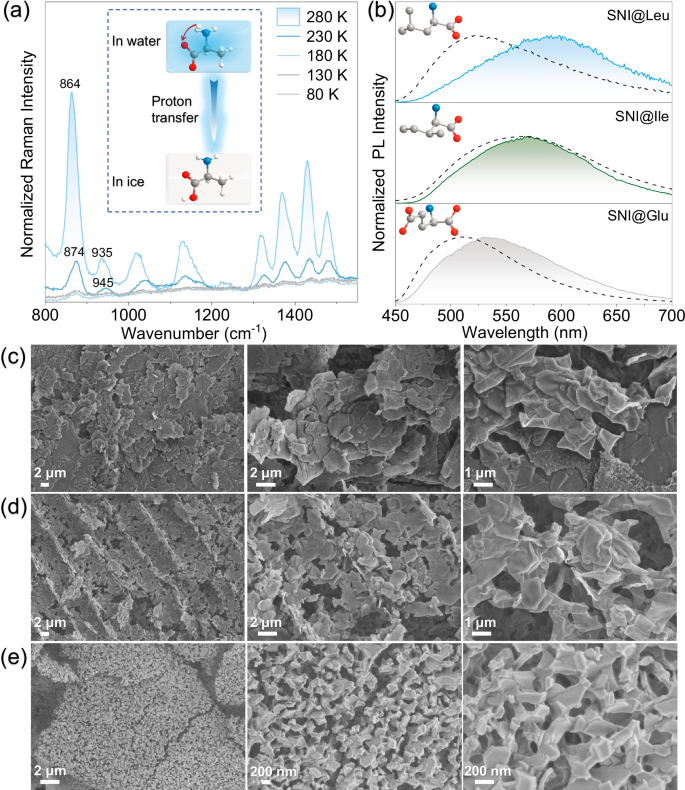 Fig. 5: Temperature-dependent Raman spectroscopy of amino acids and phosphorescence spectroscopy of SNI-doped amino acid samples.