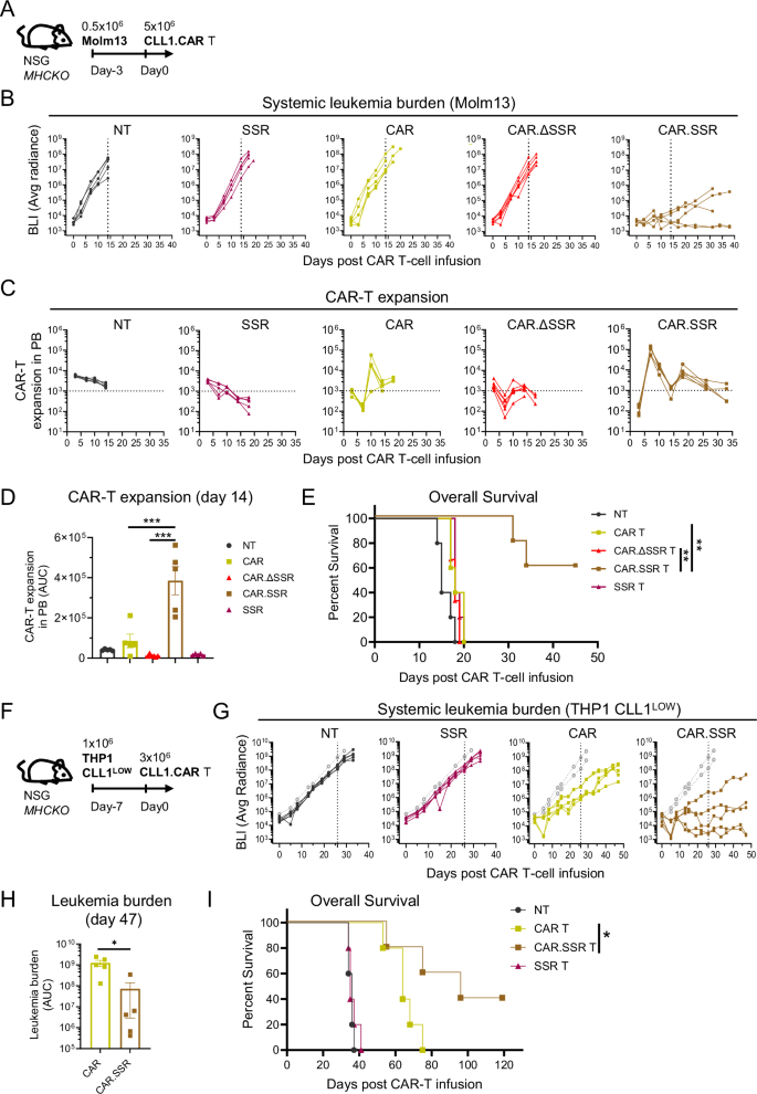 Fig. 4: CLL1.CAR T cells armed with CD38.SSR suppressed progression of systemic leukemia and prolonged animal survival.
