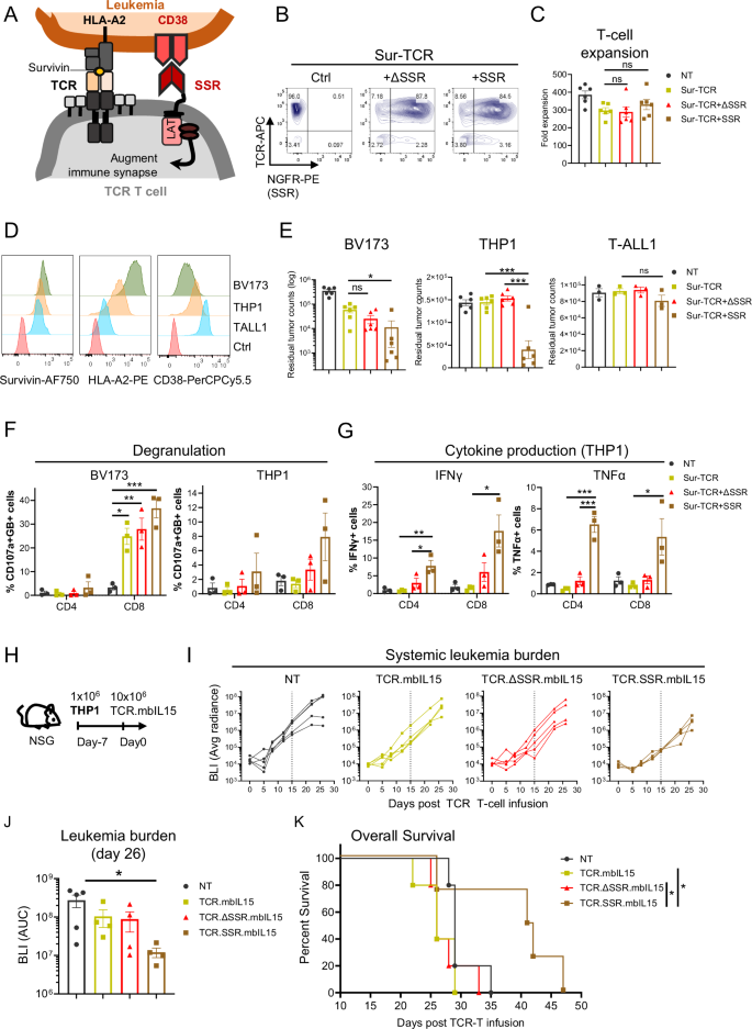 Fig. 6: CD38.SSR potentiates leukemia targeting by Survivin-TCR T cells.