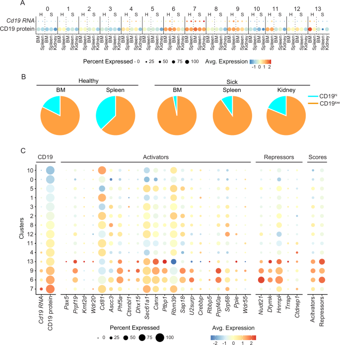 Fig. 4: Lupus-associated PC subsets show reduced CD19 expression and distinct regulatory profiles.