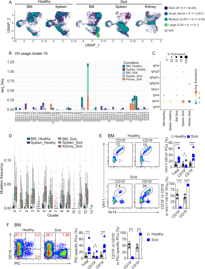 Fig. 8: Phosphatidylcholine-specific CD19– B-1 derived PCs accumulate in BM of sick SLE mice.