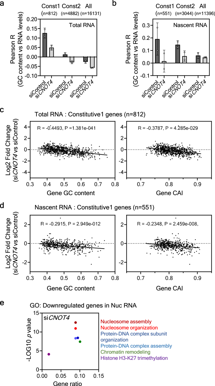 Fig. 4: Genome-wide effects of CNOT4 depletion on codon usage-mediated mRNA levels.