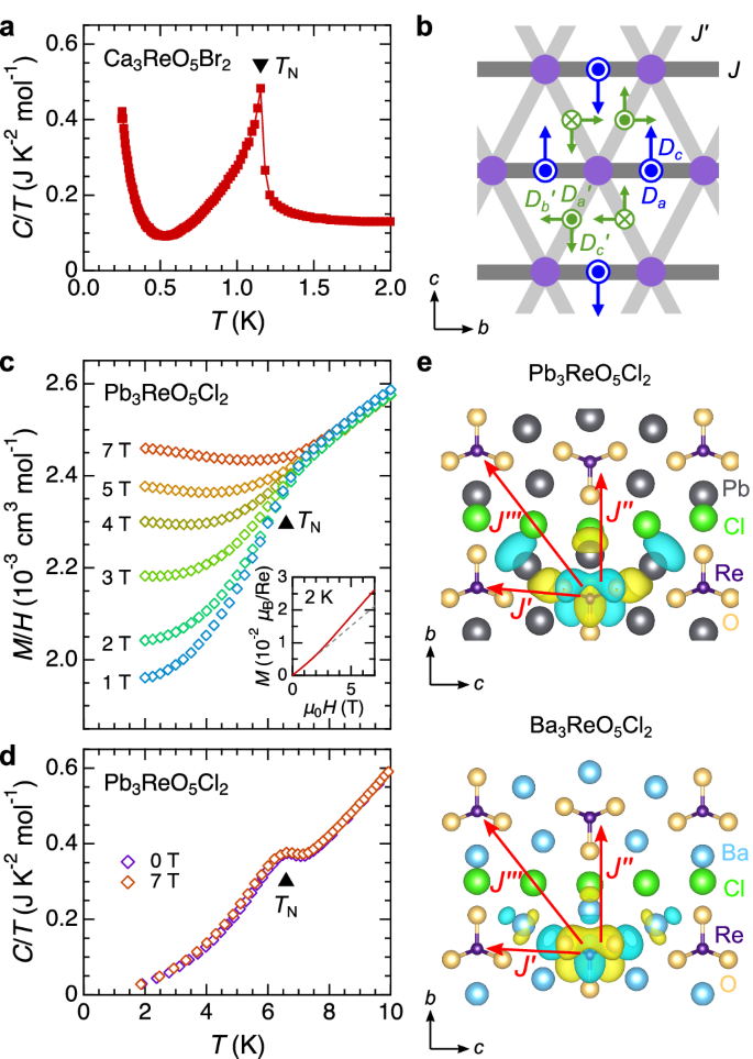 Fig. 5: Magnetic transition and its microscopic origin in CROB and PROC.