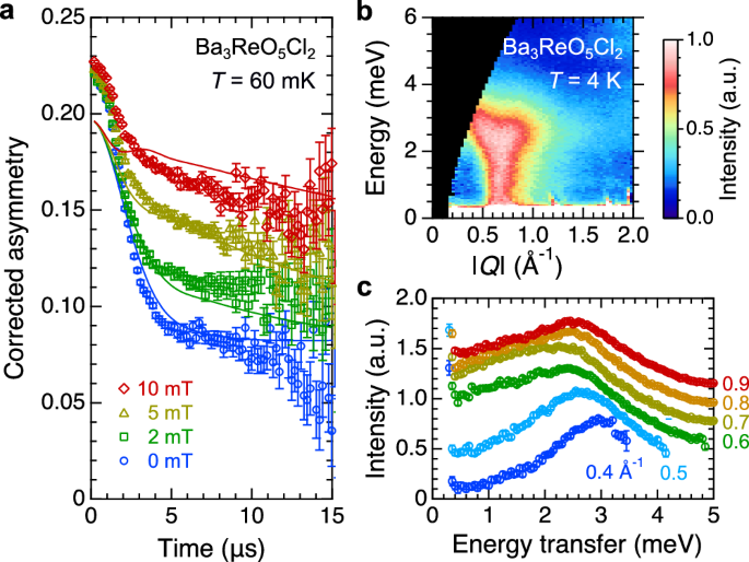 Fig. 6: Spin dynamics and excitation spectra in BROC.