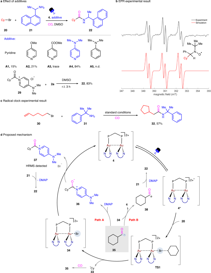Fig. 4: Mechanism studies.