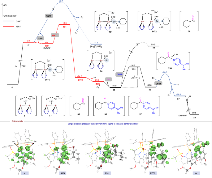 Fig. 5: Computational studies about reaction mechanism.