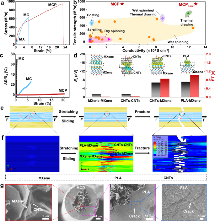 Fig. 3: Mechanical properties and fracture mechanism of MXene composite fiber.