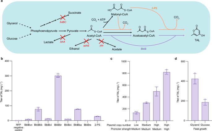 Fig. 3: In vivo TAL production.