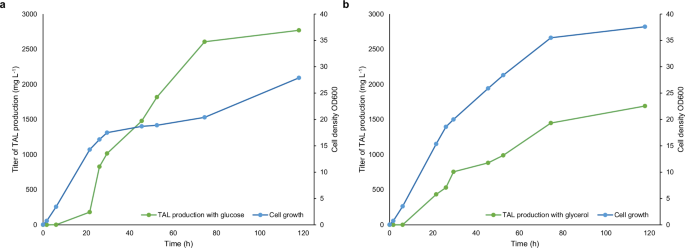 Fig. 4: Fed-batch TAL production.