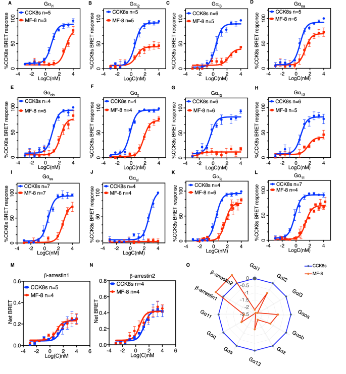 Fig. 4: MF-8 is a β-arrestin-biased agonist of CCKBR.