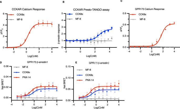 Fig. 5: High specificity of MF-8 to CCKBR.