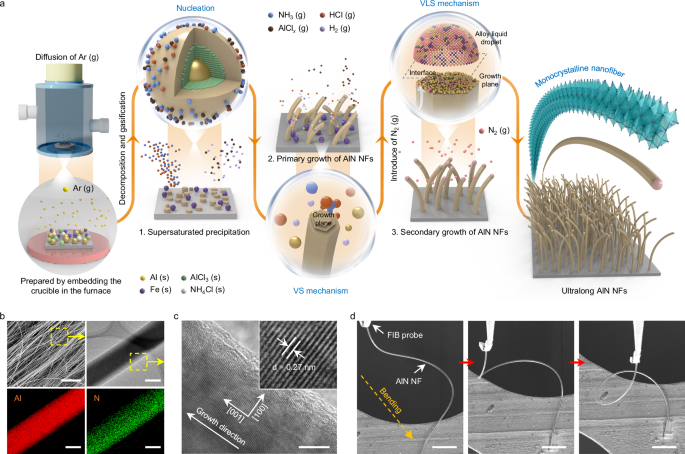 Fig. 2: Design strategies and characterization of monocrystalline AlN nanofibers (AlN NFs).
