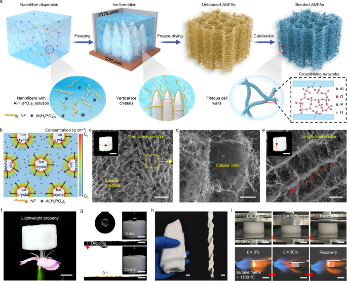 Fig. 3: Structural design and construction of AFCs.