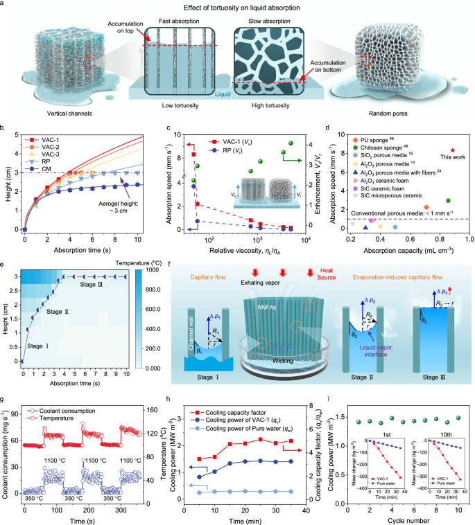 Fig. 4: Stability of rapid capillary flow in AFCs.