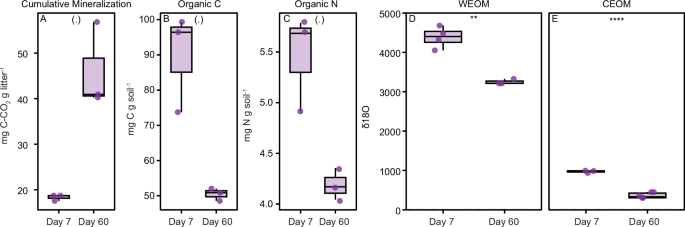 Fig. 2: Cumulative carbon mineralization, dissolved organic carbon and nitrogen concentrations, and δ18O isotopic enrichment during litter decomposition.