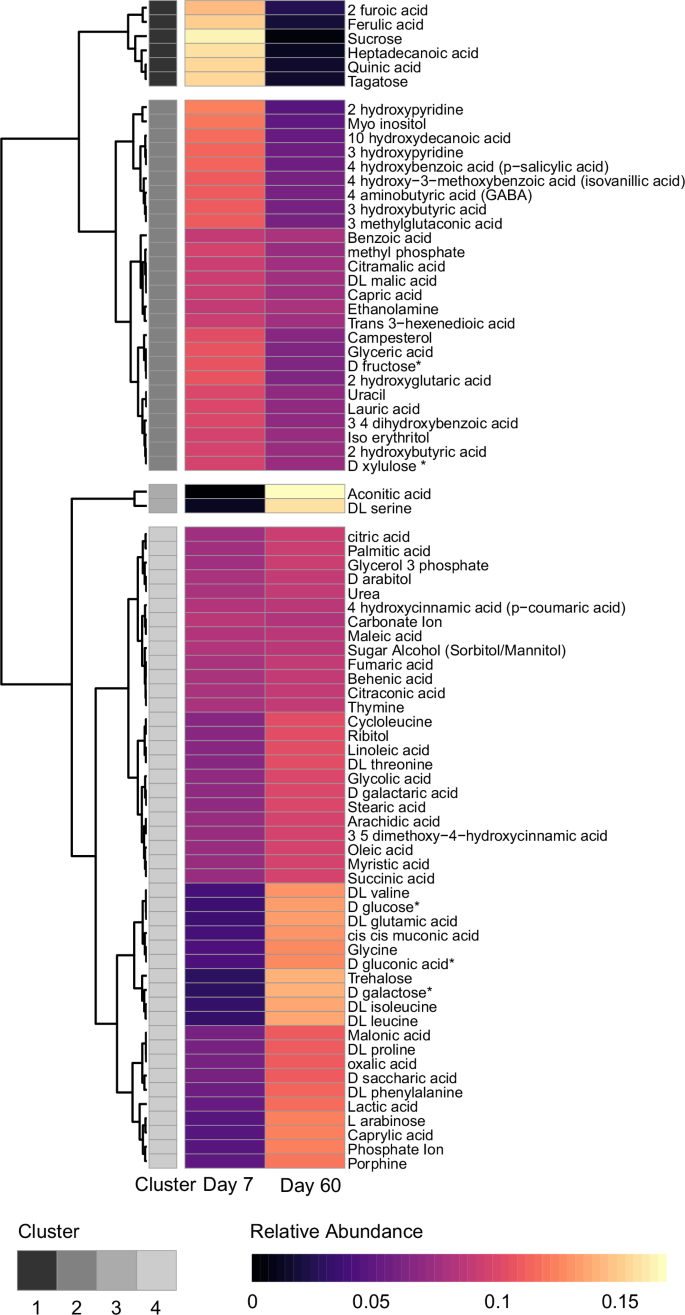 Fig. 6: Heatmap of relative abundances of metabolites identified with gas chromatography mass spectrometry (GC–MS) for day 7 and day 60 decomposition time points.